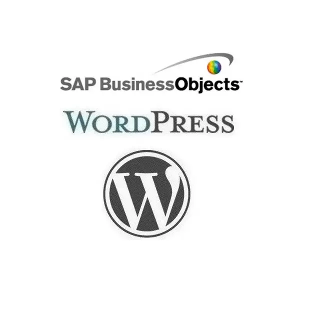 Wordpress sap bo