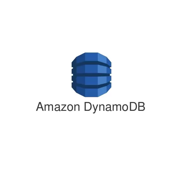 מתכנת DynamoDB