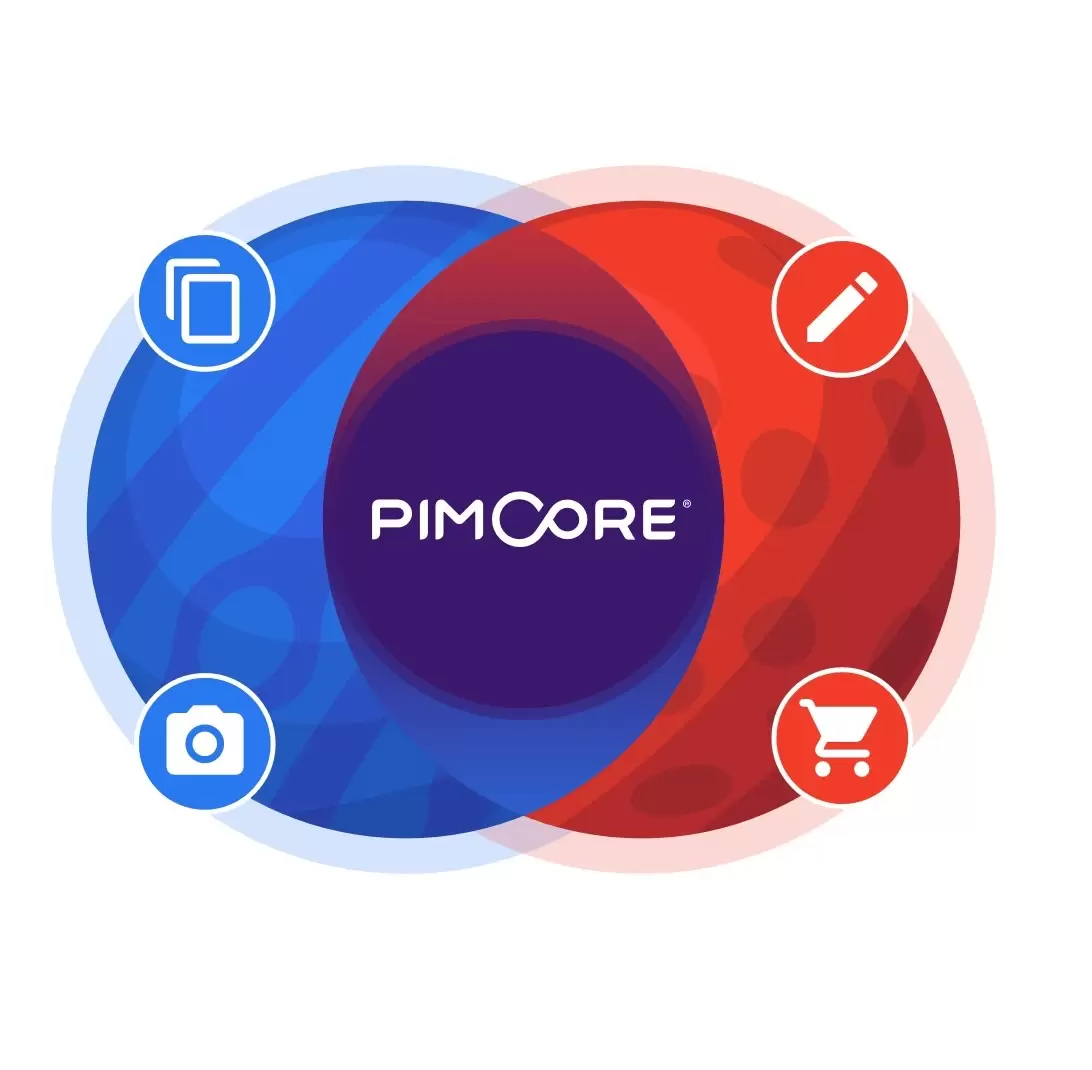 PIMCORE פימקור